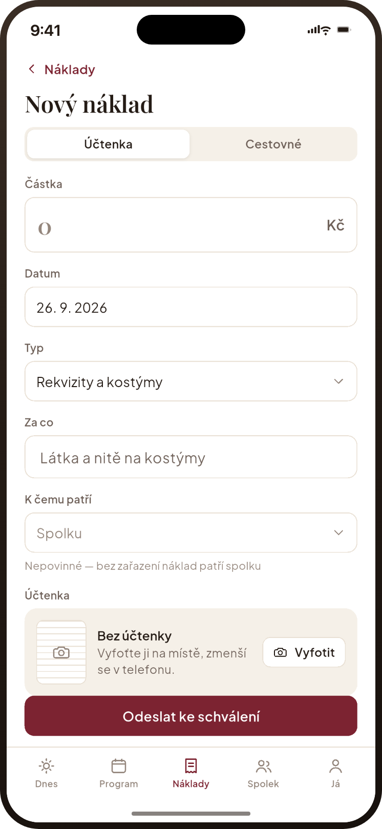 Formulář nového nákladu z účtenky: částka, datum, typ, za co, k čemu patří a rámeček Účtenka s tlačítkem Vyfotit